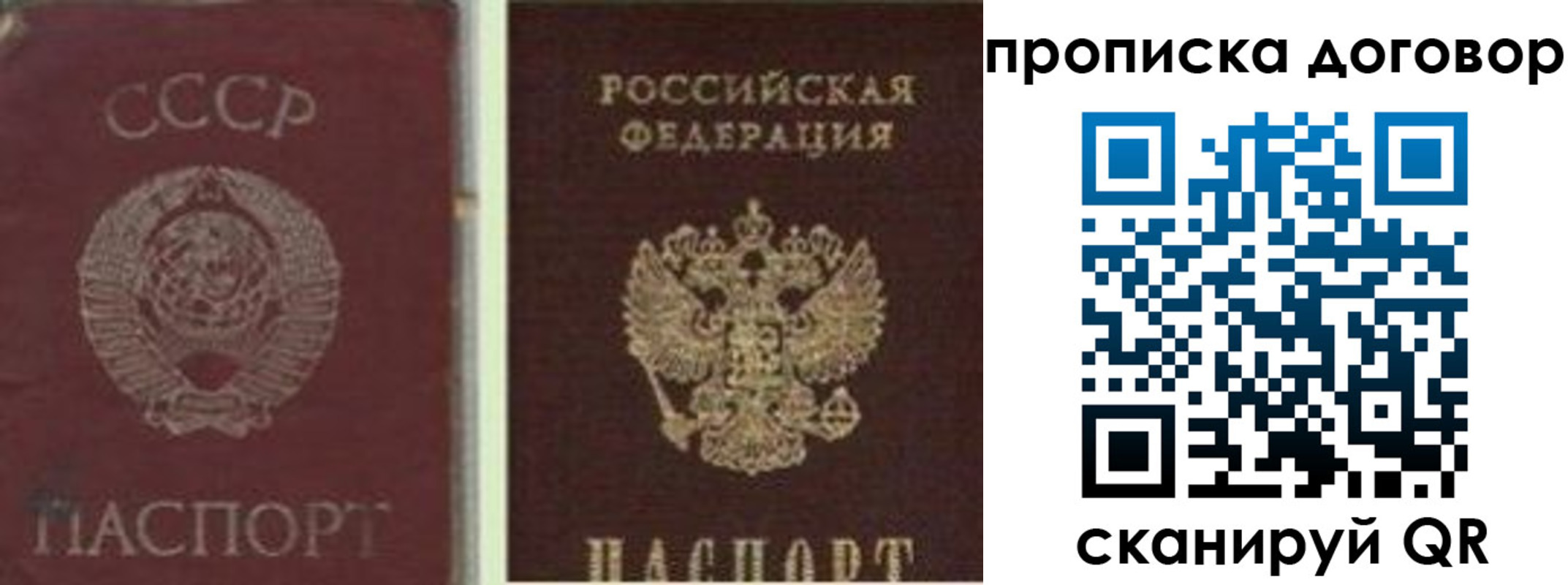 прописка гарантия в Тынде